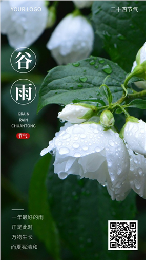 谷雨节气手机海报